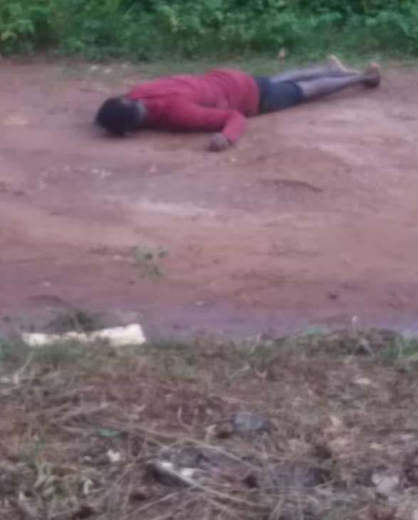 This image has an empty alt attribute; its file name is image-94.png